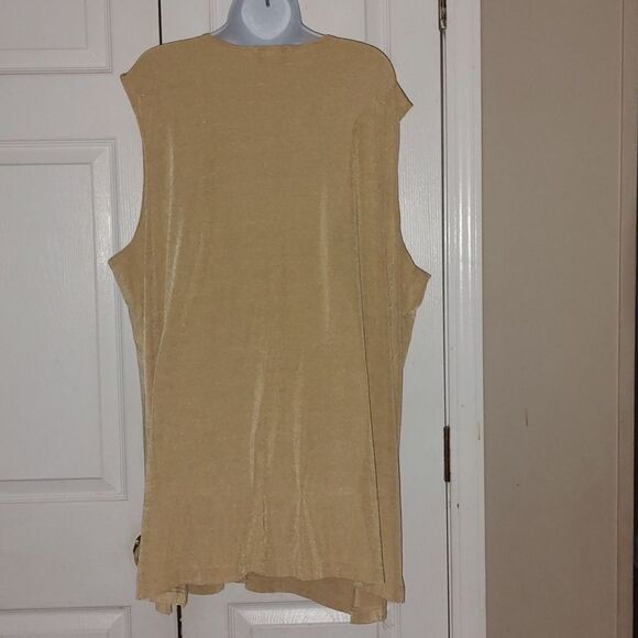 Byland Woman Collection gold sleeveless tunic SZ 28W - Picture 4 of 6